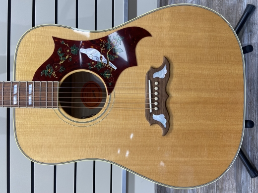 Store Special Product - Gibson Dove Original - Antique Natural